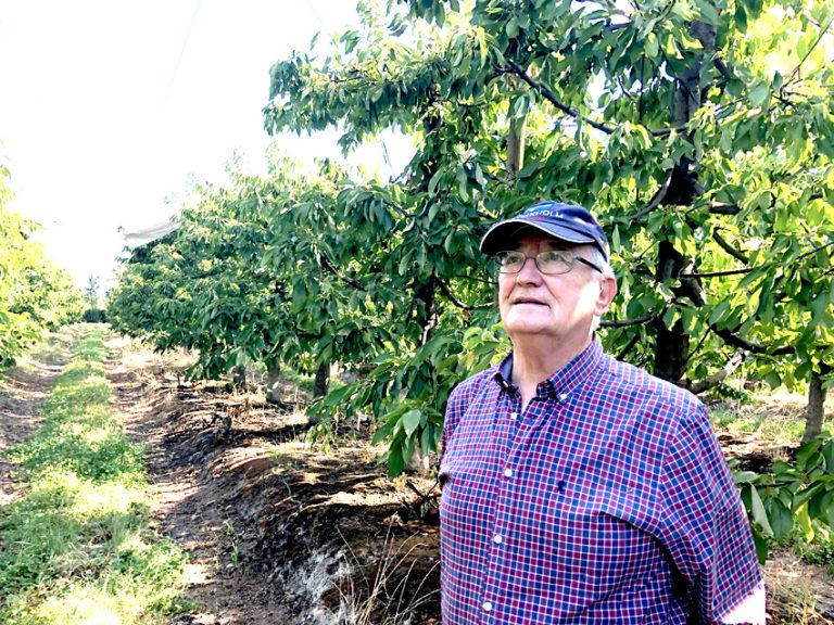 Sergio Correa de la Cerda: “Si salgo electo, iré a representar los valores y principios de los cuales estoy convencido que traen desarrollo a nuestra sociedad”