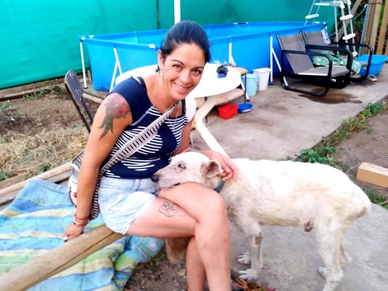 Aumento de mascotas abandonadas preocupa a organizaciones animalistas