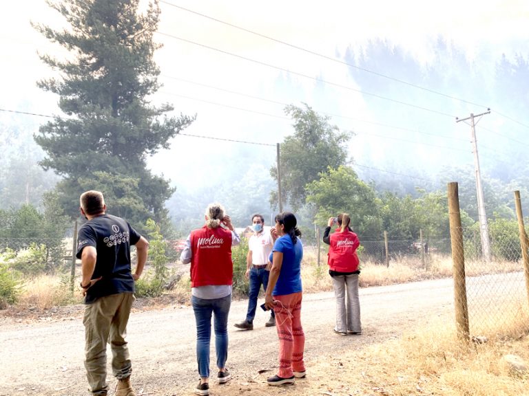 Incendio en sector “Puente Pancho” está controlado