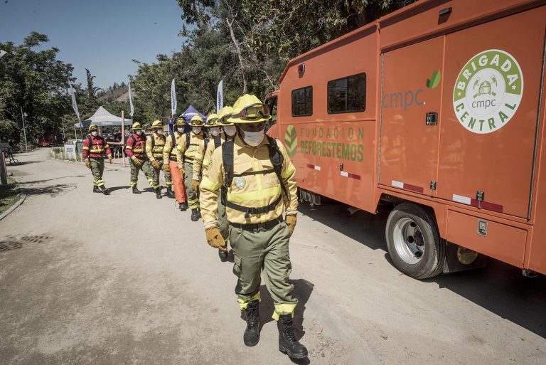 Empresas forestales destinan 59 aeronaves y 4.500 efectivos al combate de incendios