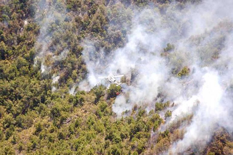 Conaf llama a prevención por alta ocurrencia de incendios forestales
