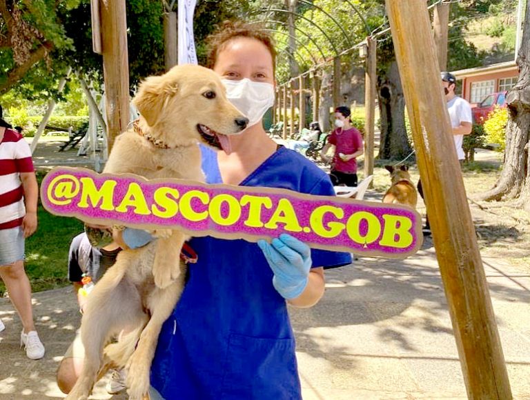 Importante balance del programa “Mascota Protegida” en la provincia