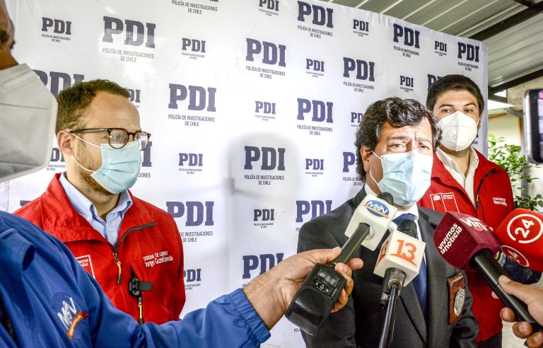 Incautan más de 10 mil plantas de marihuana