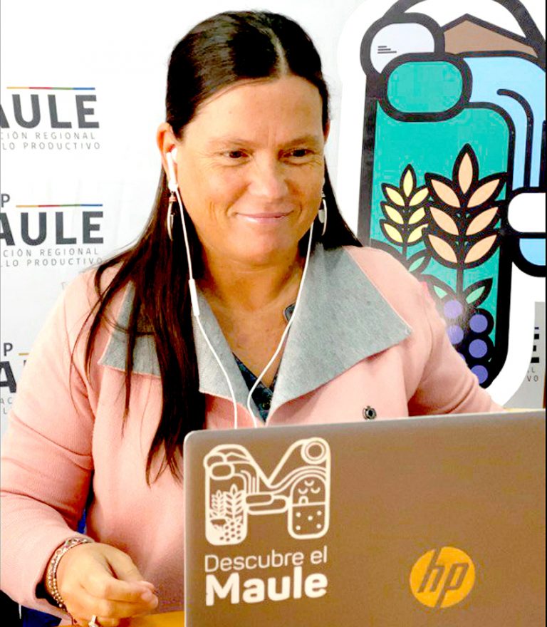 CRDP Maule realizó taller para identificar el  mapa de actores del sector turismo regional