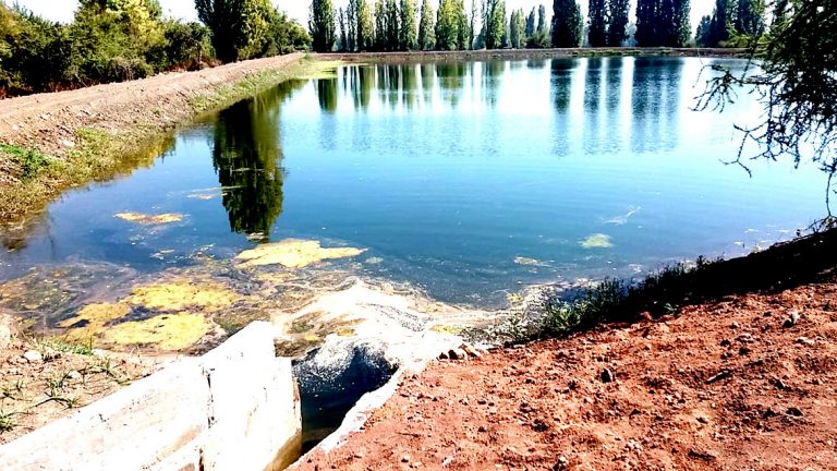 Más de $1.000 millones en proyectos de riego se ejecutarán en el Maule