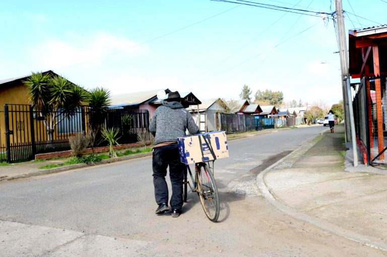 El impacto social de la pandemia en comunas del Maule que se caracterizan por su ruralidad