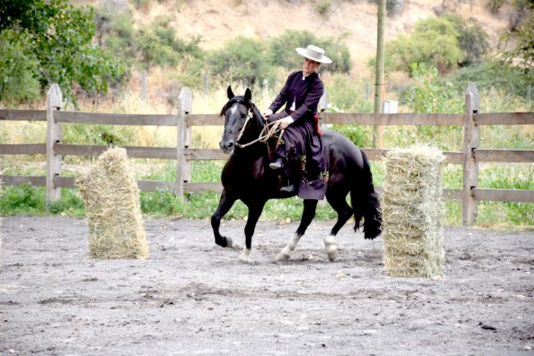 “Al aguaite” competencias de “Monta a lo Amazona Huasa”