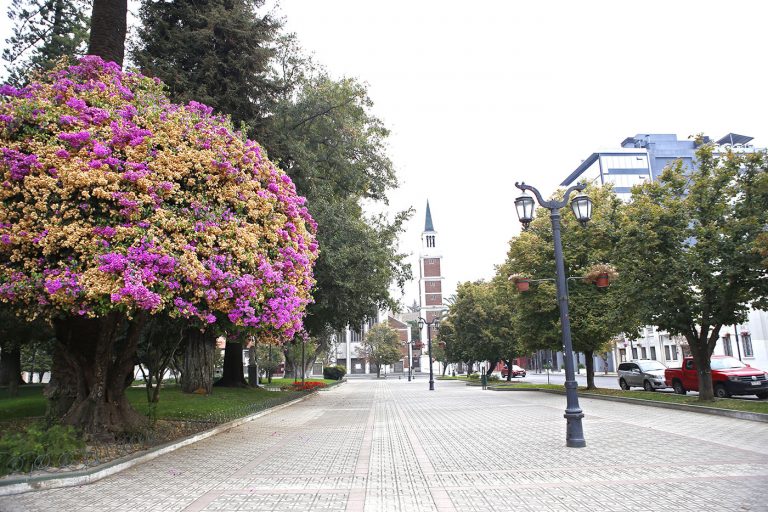 Índice de Calidad de Vida Urbana determina que las comunas de Talca y Maule son un Área Metropolitana