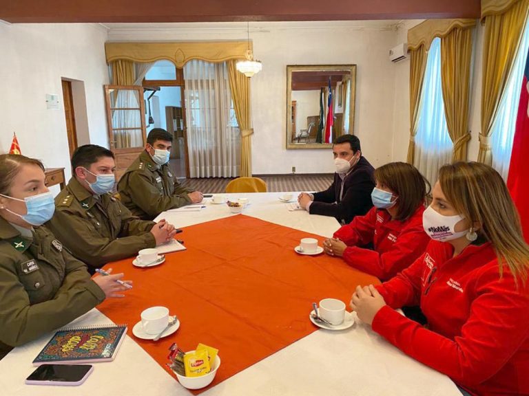 Acuerdan reforzar trabajo conjunto entre la Dirección de  DD.HH. de Carabineros, Seremi de la Mujer y Sernameg