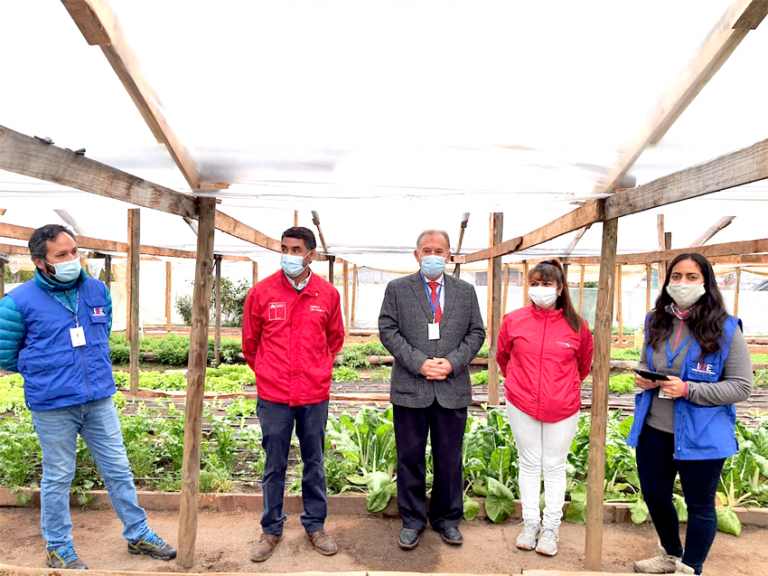 Censo Agropecuario y Forestal tiene avance de 71% en el Maule