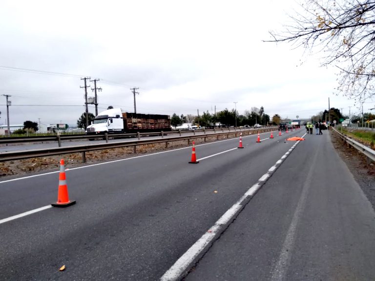 Camionero murió atropellado porque se habría devuelto a recoger un gorro