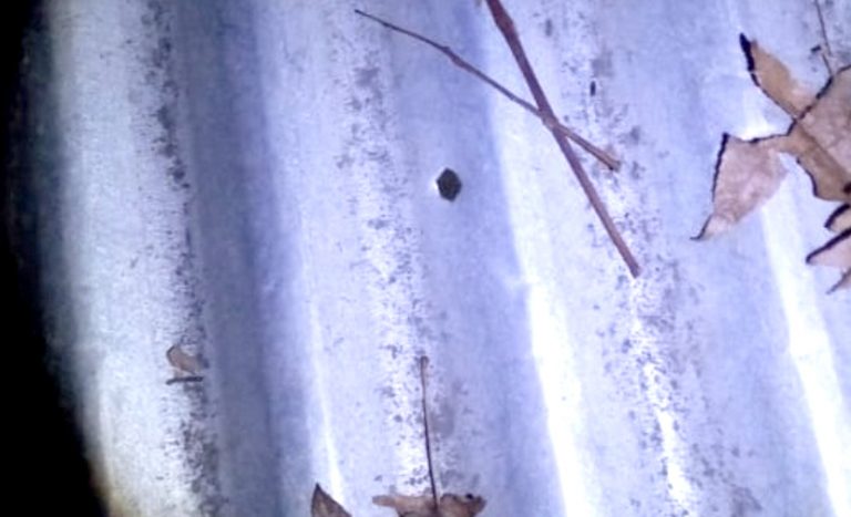 Confirman investigación por mujer que resultó lesionada por impacto de bala