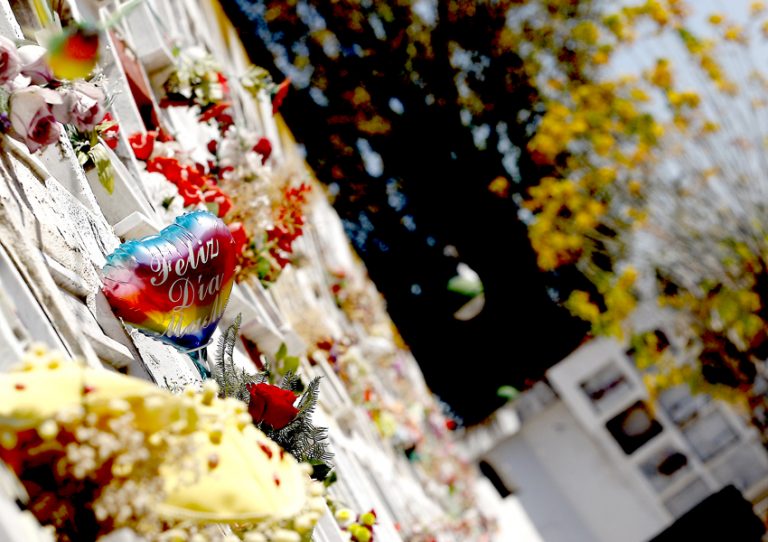 Cementerio Municipal abre sus puertas a la comunidad