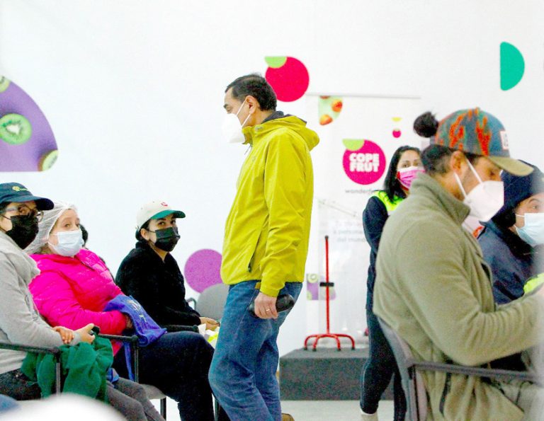 Estrategia Covid: Continúa vacunación para trabajadores de agrícolas y frutícolas en Curicó