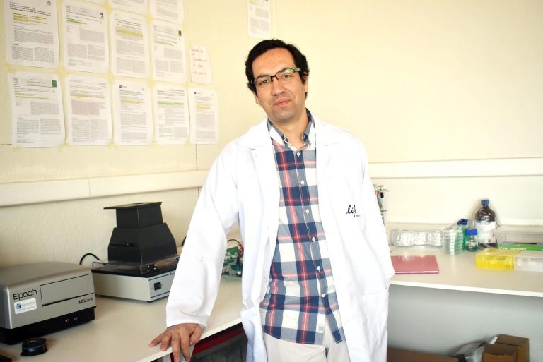 Investigación de U. Autónoma en frutos nativos promueve mejora en prácticas agrícolas maulinas