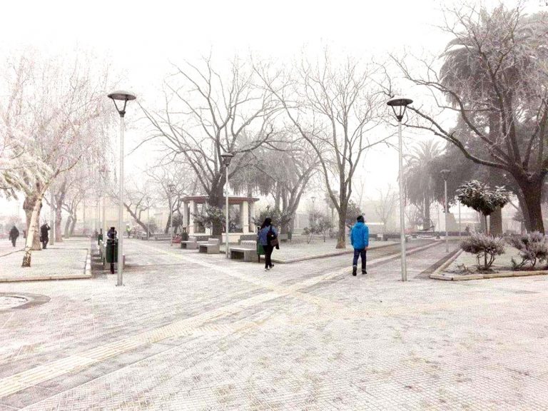 Experto UTalca: Heladas en la zona central se podrían extender hasta el mes de septiembre