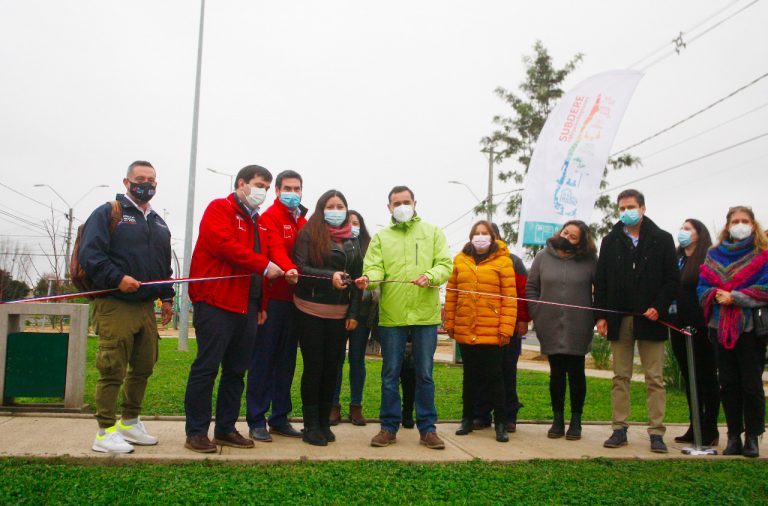 Vecinos concretaron anhelado sueño de contar con remozadas áreas verdes