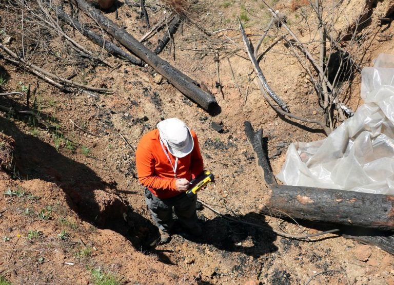 Estudio revela que el 60% de los suelos de la Región del Maule están degradados