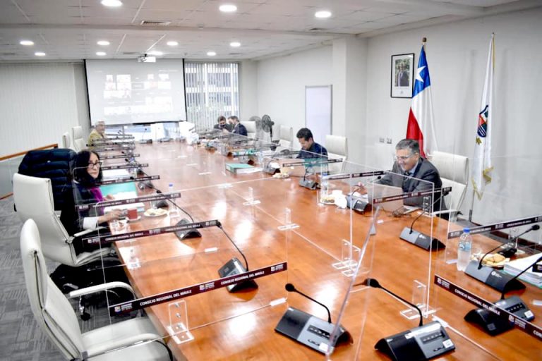 Mayores recursos para Vías Urbanas tratará Consejo Regional del Maule