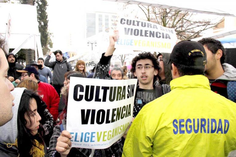 Contextus Ltda. llevó a cabo primer estudio en población juvenil vegana y vegetariana de Talca