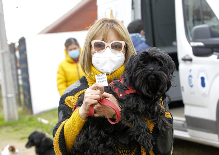 Clínica Veterinaria Móvil municipal sigue atendiendo en sectores vecinales