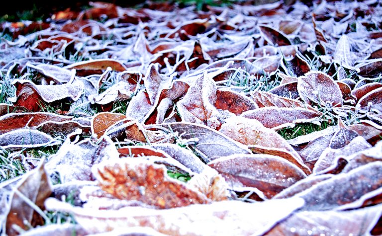 Anuncian temperaturas de hasta 4 grados bajo cero en el Maule