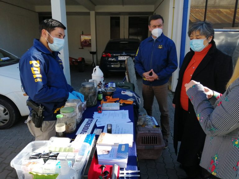 Falsos veterinarios provocaron la muerte de mascotas en Talca