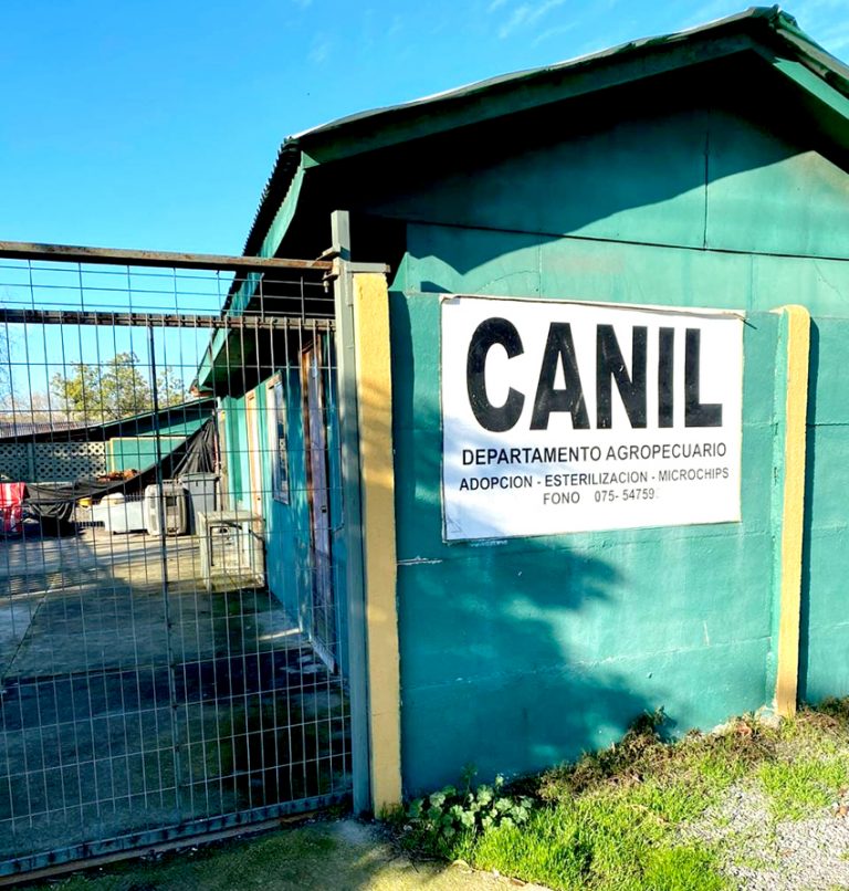 Concejal no quedó conforme con sanciones administrativas aplicadas sobre funcionarios