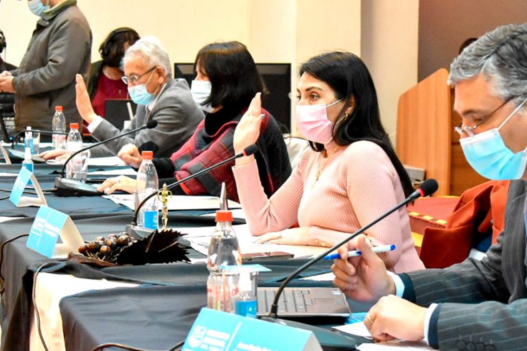 Desde Cauquenes se transmitió la reunión del CORE en modo digital