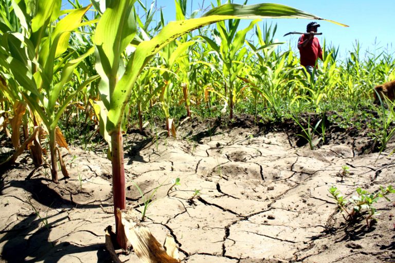 Experto de la UTalca advierte posible crisis climática en Chile