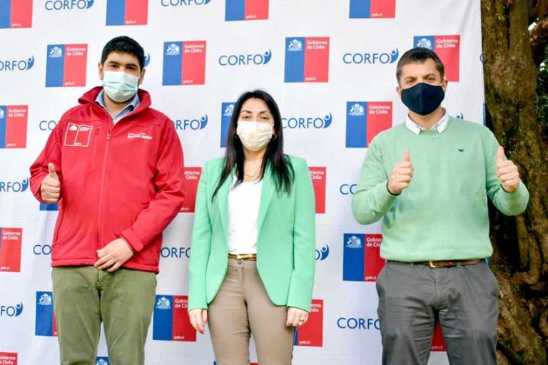 Gobierno Regional y Corfo anuncian financiamiento para Pymes del Maule