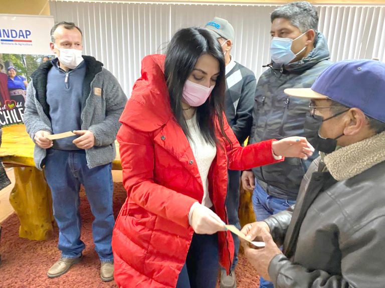 Gobernadora Bravo entregó incentivos  a pequeños agricultores de Pelluhue