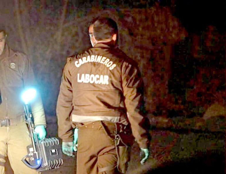 Investigan hallazgo de cadáver calcinado en Ruta Pehuenche