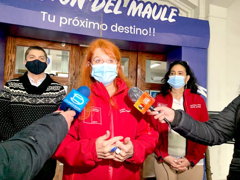 Nuevas empresas maulinas podrán optar a bajar sus costos de energía