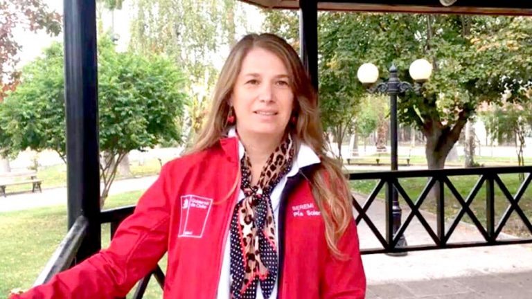 Abierta convocatoria en el Maule a los Premios Regionales de Artes, Cultura y Patrimonio 2021