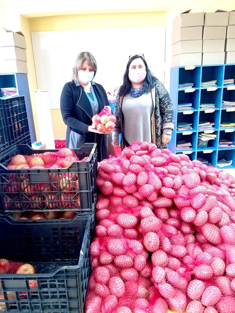 Pronto comenzará Feria Libre Itinerante en Curicó
