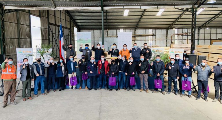 Pymes madereras maulinas lanzan iniciativa  para prevenir el comercio ilegal de madera