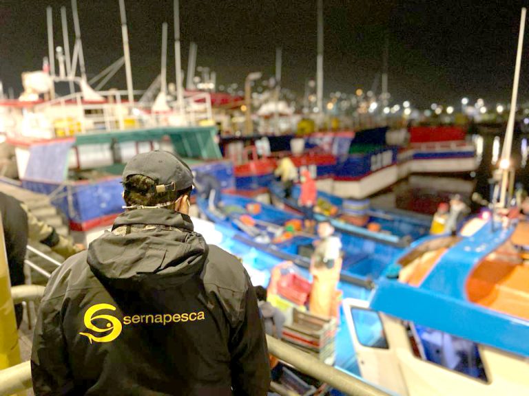 Próximo miércoles comienza la veda  de la merluza común para todo Chile