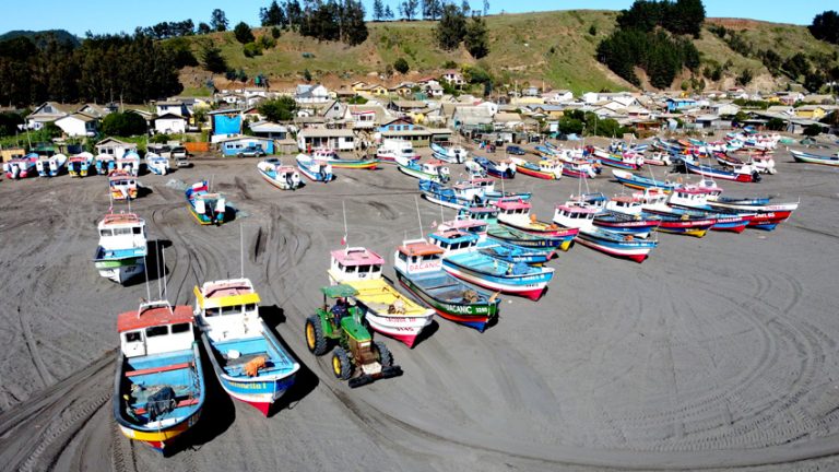 Presentan cuatro querellas por extracción ilegal de la merluza