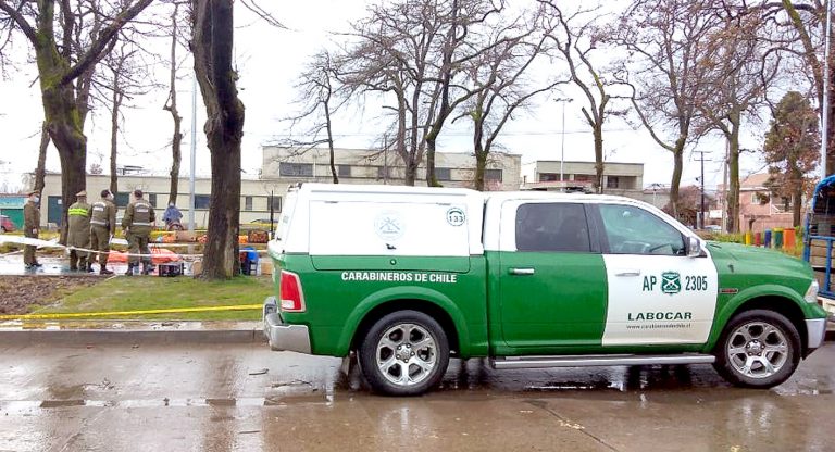 Adulto mayor falleció al caerle rama de árbol