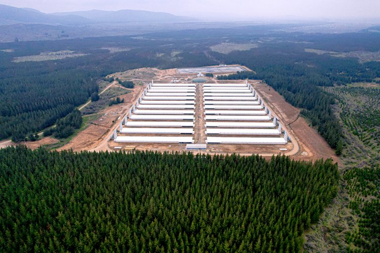 Agrícola Coexca S.A.: Tribunal respalda  permisos ambientales otorgados a granja