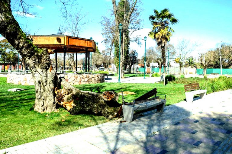 Importantes daños dejó sistema frontal en Plaza San Francisco