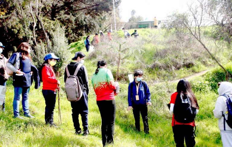 Niños y jóvenes contribuyeron a  la reforestación del cerro Condell