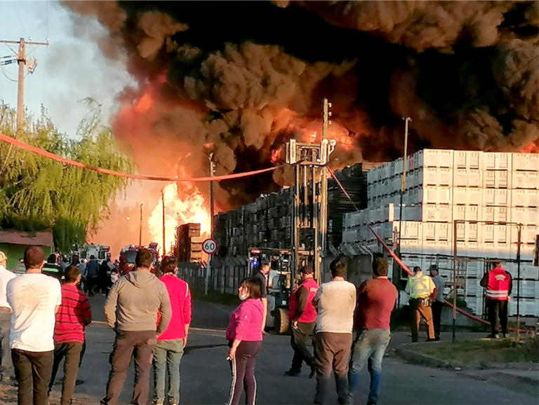 Municipalidad de Teno no descarta acciones legales por megaincendio