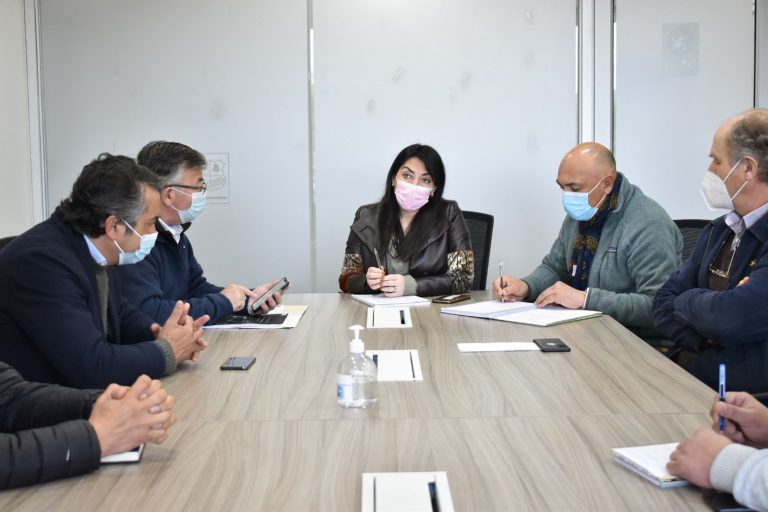 Agricultores advierten que canal Pencahue estaría seco en diciembre