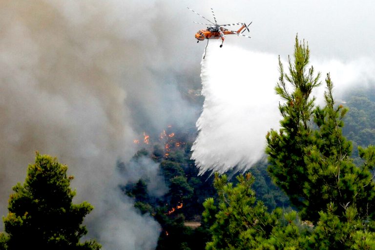 Sector público y empresas forestales lideran mesa de coordinación para prevenir incendios