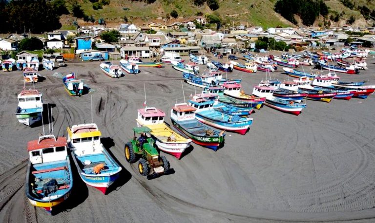 Pescadores industriales piden más recursos humanos y tecnológicos para fiscalizar extracción de merluza