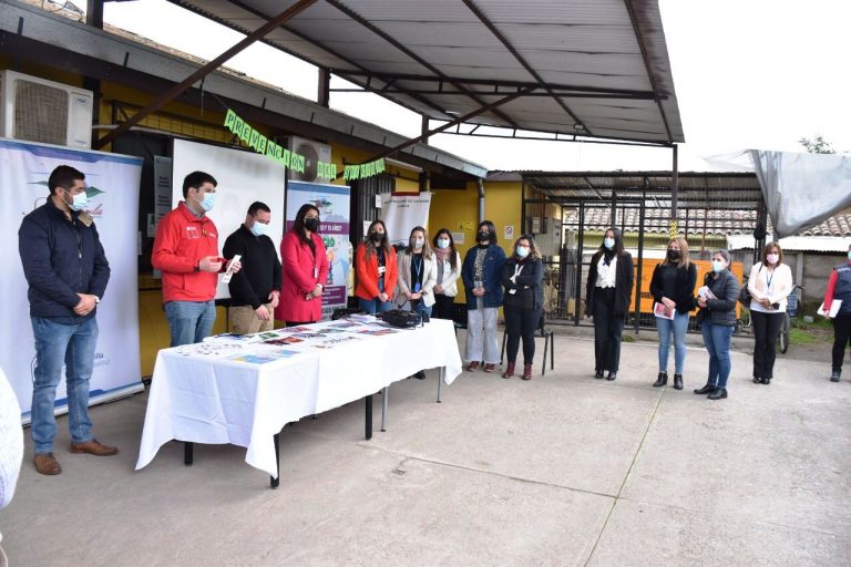 Sagrada Familia es la segunda comuna con más intentos suicidas de la región