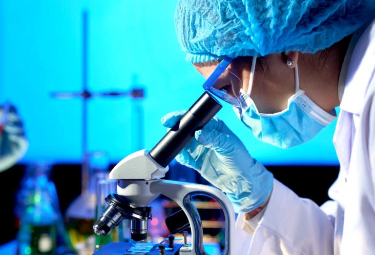 Doctorado en Ciencias Biomédicas de UTalca recibió 5 años de acreditación