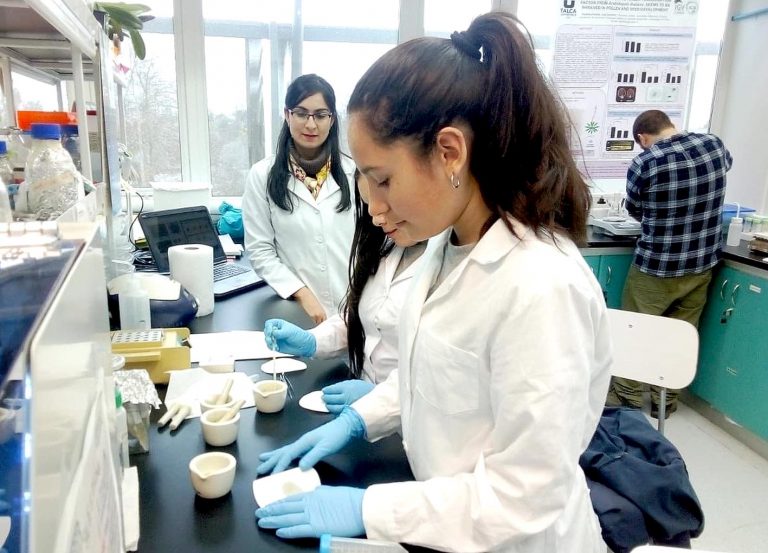 Explora Maule abre convocatoria para presentar trabajos en Congreso Regional de Ciencia Escolar